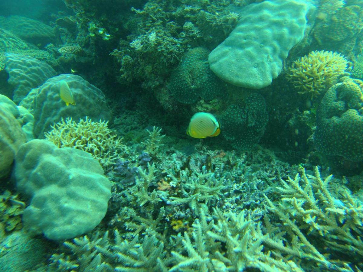 Playa Encantada Beach Resort El Nido Exterior foto